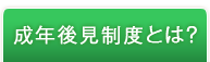 成年後見制度とは